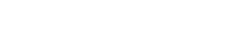 Dropsynz White Logo